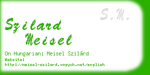 szilard meisel business card